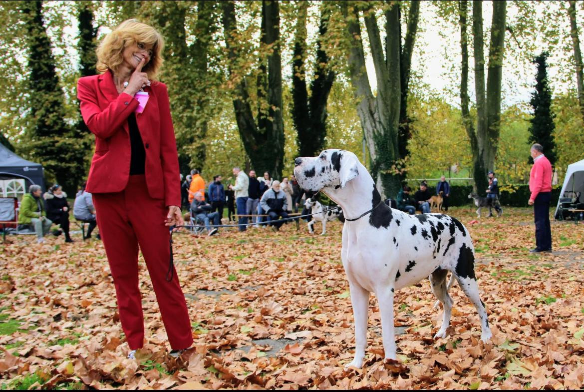 Du Haut Dagour - Régionale d'élevage de Verdun sur Garonne, ULTIMA DU HAUT DAGOUR