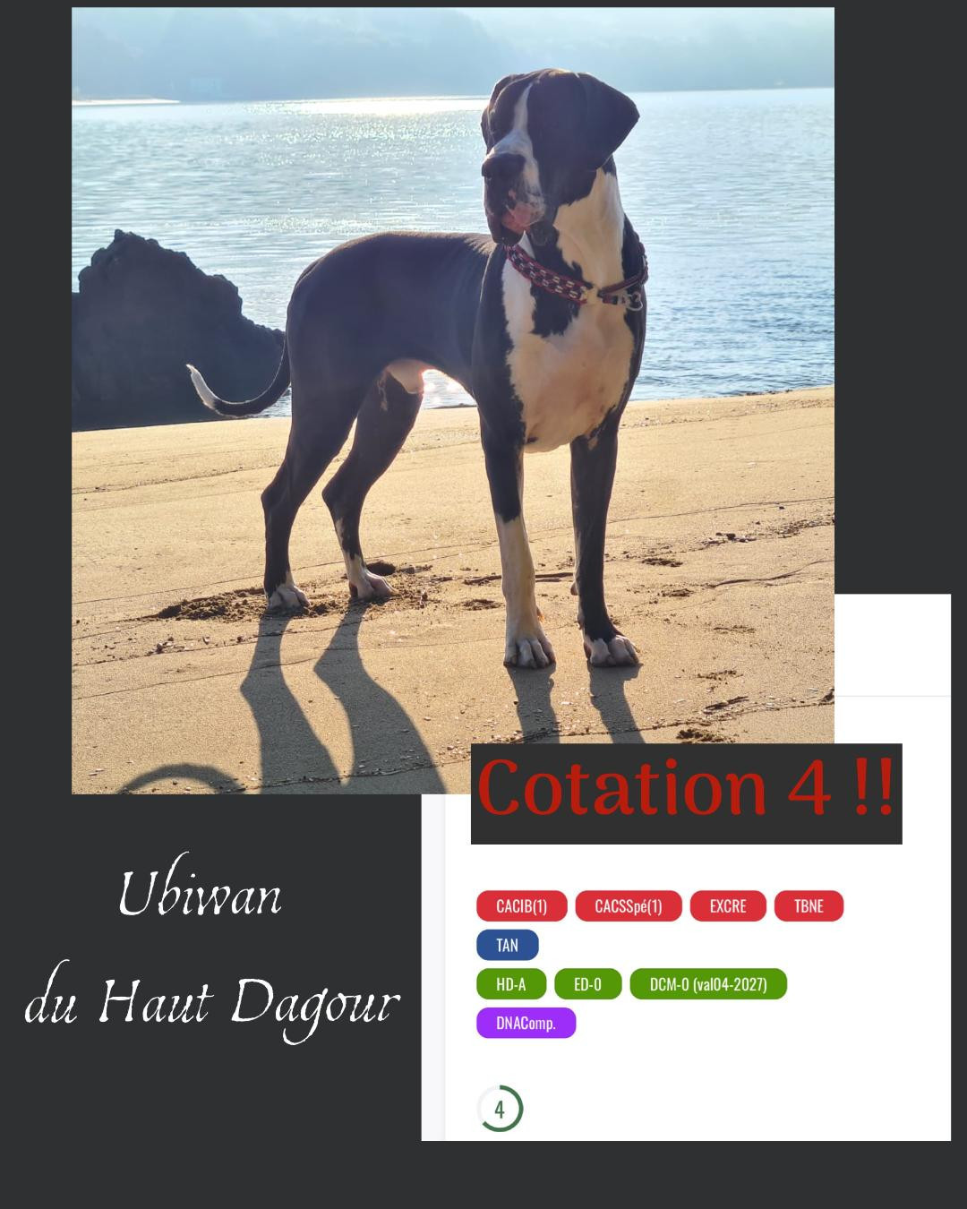 Ubiwan du Haut Dagour ....COTATION points validéé !