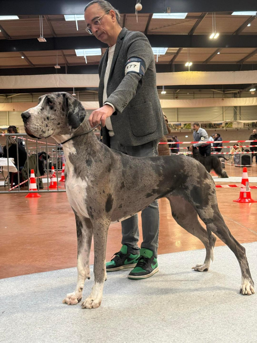 Exposition Nationale de Castres....une production du HAUT DAGOUR priméé !