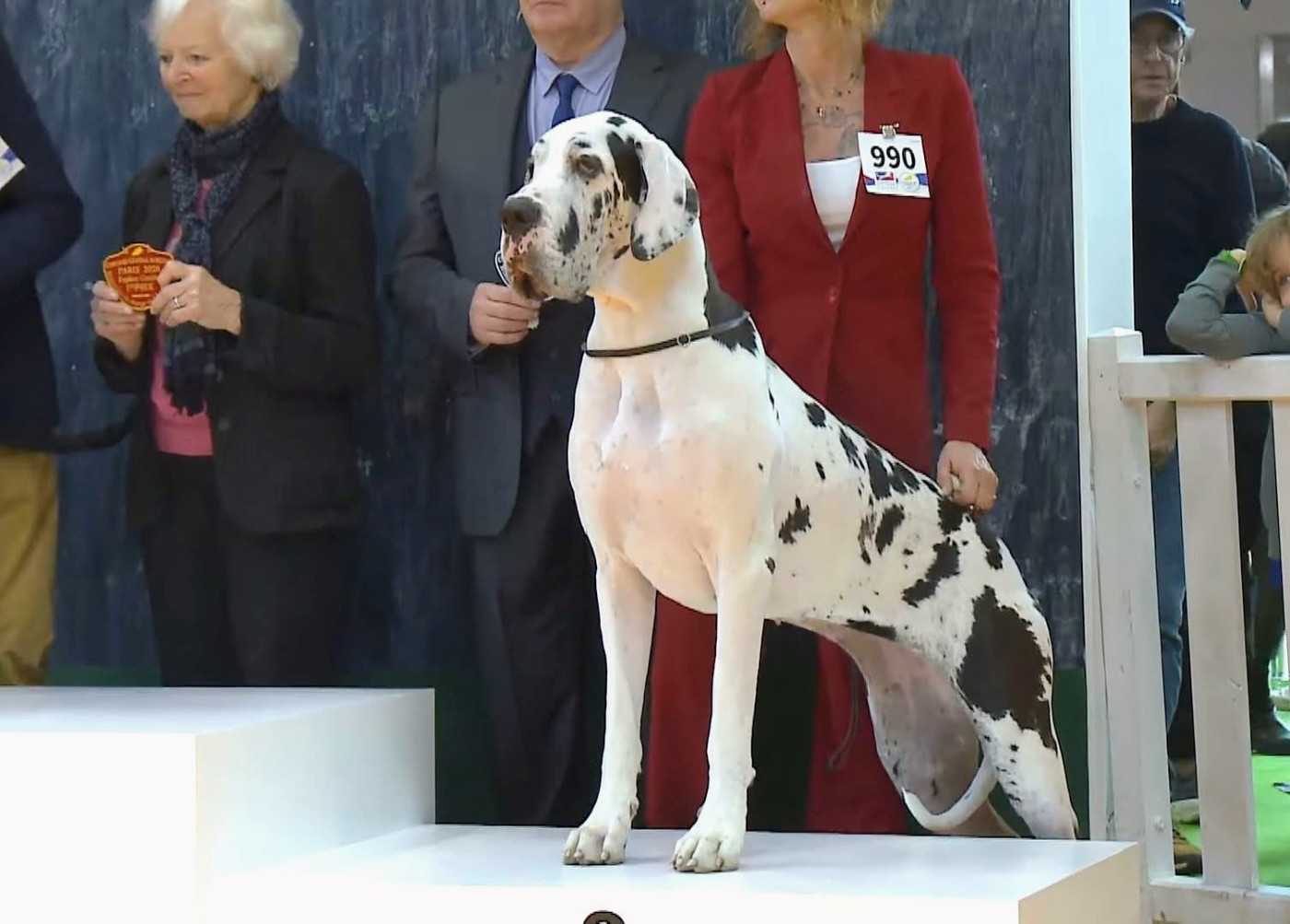 Salon internationnal de l'agriculture : MEDAILLE du Concours Général Agricole !!!