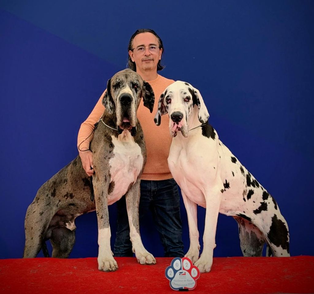 Du Haut Dagour - Juin 2025 : Championnat de France 2025