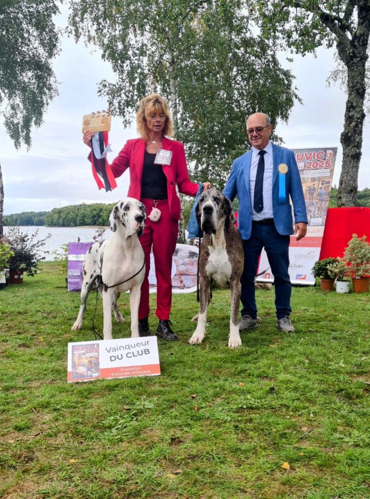 Du Haut Dagour - Septembre : Nationale D'Elevage Neuvic 2025